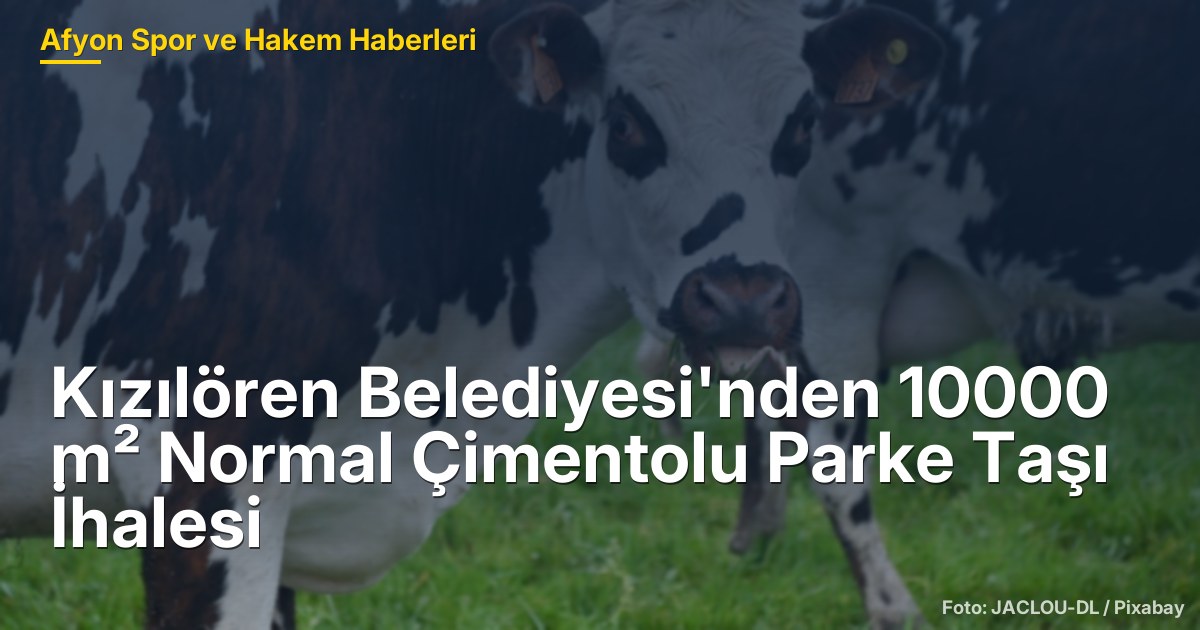 Kızılören Belediyesi'nden 10.000 m² Normal Çimentolu Parke Taşı İhalesi